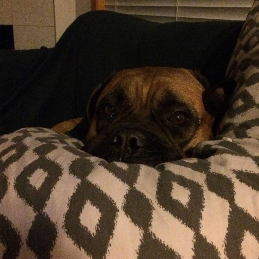 Meet your Posher, Shiver